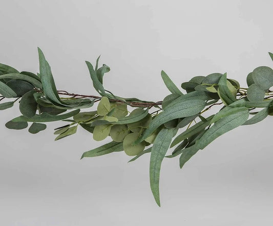 Blómalengja - eucalyptus og laufum